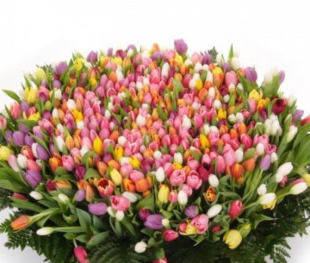 Bouquet 1001 tulips!