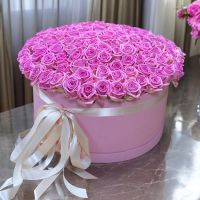 pink rose (101 pcs.), round box, oasis, packaging, ribbon