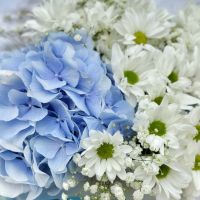 Bouquet Azure morning