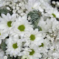 Bouquet Snow miracle