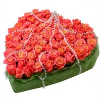 coral rose (75 pcs.), oasis, packaging, ribbon