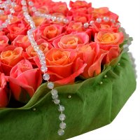 coral rose (75 pcs.), oasis, packaging, ribbon