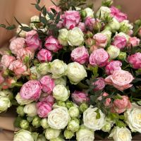 cream bush rose (17 pcs.), packaging, ribbon