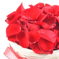 rose petals, rose (15 pcs.), box, packaging, ribbon