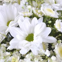 white Stallion chrysanthemum, white gypsophila, basket m, decorative butterflies, oasis, white spray chrysanthemum, packaging, ribbon