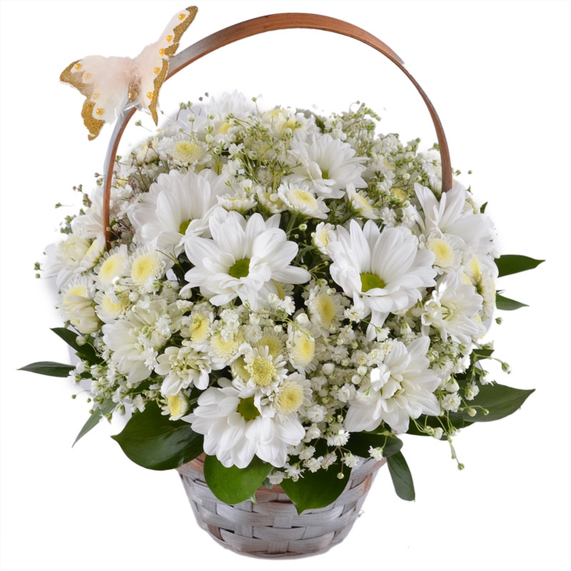 white Stallion chrysanthemum, white gypsophila, basket m, decorative butterflies, oasis, white spray chrysanthemum, packaging, ribbon