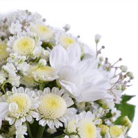 white Stallion chrysanthemum, white gypsophila, basket m, decorative butterflies, oasis, white spray chrysanthemum, packaging, ribbon