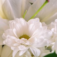 gerbera, lily, chrysanthemum, packaging, ribbon