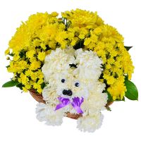 Basket of flowers, flower composition, flower toy, flower puppy, flowers for child, cute bouquet, cu