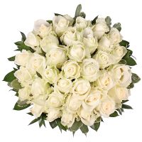 white rose (35 pcs.), box, packaging, ribbon