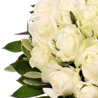 white rose (35 pcs.), box, packaging, ribbon