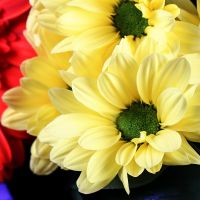 gerbera, eustoma, chrysanthemum, packaging, ribbon