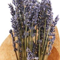 Lavander | order the bunch of flowers with delivery
