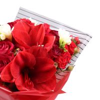 rose (15 pcs.), freesia, hypericum, amaryllis, spray rose, packaging, ribbon