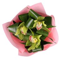 cymbidium (3 pcs.), packaging, tape