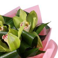 cymbidium (3 pcs.), packaging, tape