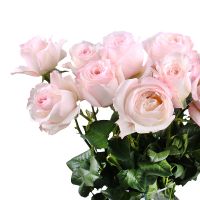 Bouquet Rose David Austin Keira by piece