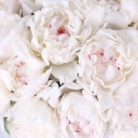 Bouquet White peonies by piece