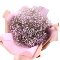 gypsophila (13 pcs.), packaging, ribbon