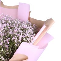 gypsophila (13 pcs.), packaging, ribbon