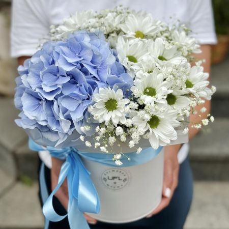 Bouquet Azure morning