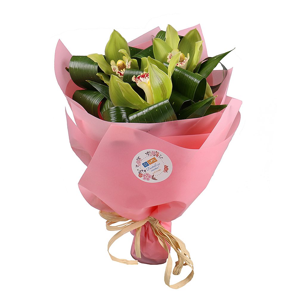 cymbidium (3 pcs.), packaging, tape