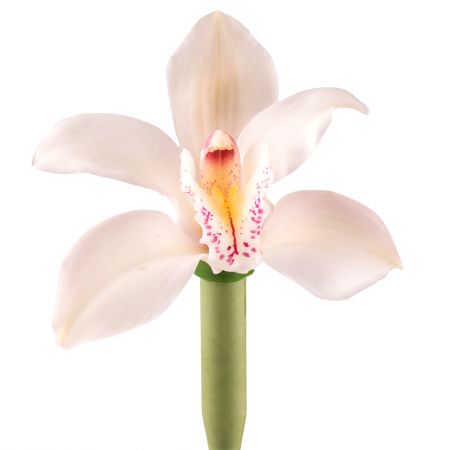 Bouquet Orchid white piece