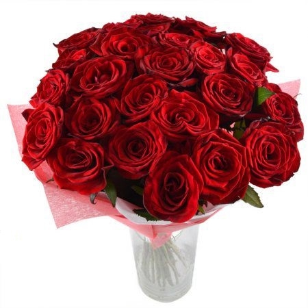 rose (25 pcs.), packaging, ribbon