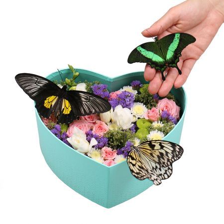 Heart with butterflies | order with delivery